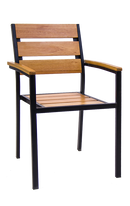 Black Steel Arm Chair with Rosewood Seat and Back